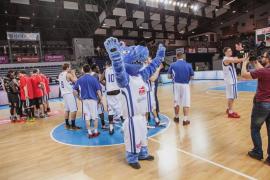 Elabika stroje reklamowe Wilk Blue King Wilki Morskie Szczecin