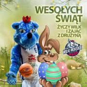 Elabika stroje reklamowe Wilk Blue King Wilki Morskie Szczecin