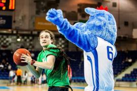 Elabika stroje reklamowe Wilk Blue King Wilki Morskie Szczecin