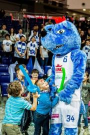 Elabika stroje reklamowe Wilk Blue King Wilki Morskie Szczecin