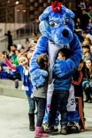 Elabika stroje reklamowe Wilk Blue King Wilki Morskie Szczecin