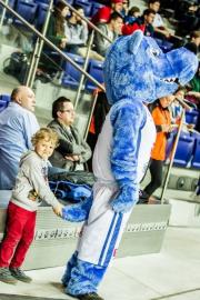 Elabika stroje reklamowe Wilk Blue King Wilki Morskie Szczecin
