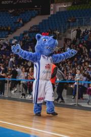 Elabika stroje reklamowe Wilk Blue King Wilki Morskie Szczecin