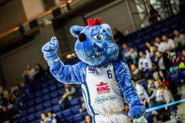 Elabika stroje reklamowe Wilk Blue King Wilki Morskie Szczecin