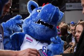 Elabika stroje reklamowe Wilk Blue King Wilki Morskie Szczecin
