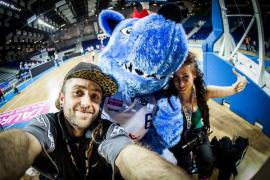 Elabika stroje reklamowe Wilk Blue King Wilki Morskie Szczecin