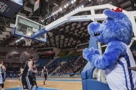 Elabika stroje reklamowe Wilk Blue King Wilki Morskie Szczecin