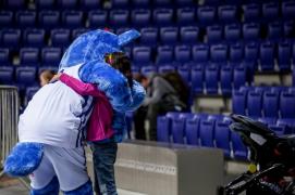 Elabika stroje reklamowe Wilk Blue King Wilki Morskie Szczecin