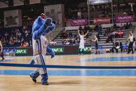 Elabika stroje reklamowe Wilk Blue King Wilki Morskie Szczecin