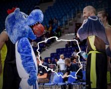Elabika stroje reklamowe Wilk Blue King Wilki Morskie Szczecin