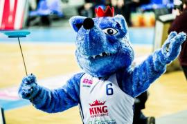 Elabika stroje reklamowe Wilk Blue King Wilki Morskie Szczecin