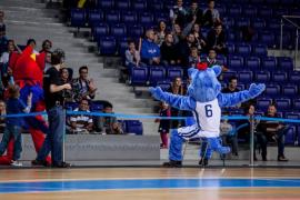 Elabika stroje reklamowe Wilk Blue King Wilki Morskie Szczecin