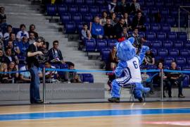 Elabika stroje reklamowe Wilk Blue King Wilki Morskie Szczecin