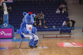 Elabika stroje reklamowe Wilk Blue King Wilki Morskie Szczecin