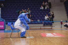 Elabika stroje reklamowe Wilk Blue King Wilki Morskie Szczecin