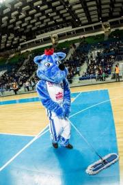 Elabika stroje reklamowe Wilk Blue King Wilki Morskie Szczecin