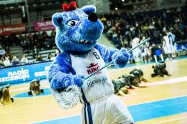Elabika stroje reklamowe Wilk Blue King Wilki Morskie Szczecin