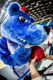 Elabika stroje reklamowe Wilk Blue King Wilki Morskie Szczecin