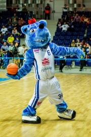 Elabika stroje reklamowe Wilk Blue King Wilki Morskie Szczecin