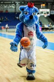 Elabika stroje reklamowe Wilk Blue King Wilki Morskie Szczecin