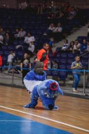 Elabika stroje reklamowe Wilk Blue King Wilki Morskie Szczecin