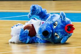 Elabika stroje reklamowe Wilk Blue King Wilki Morskie Szczecin