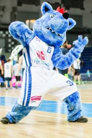 Elabika stroje reklamowe Wilk Blue King Wilki Morskie Szczecin