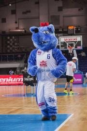 Elabika stroje reklamowe Wilk Blue King Wilki Morskie Szczecin