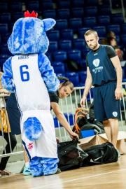 Elabika stroje reklamowe Wilk Blue King Wilki Morskie Szczecin