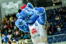 Elabika stroje reklamowe Wilk Blue King Wilki Morskie Szczecin