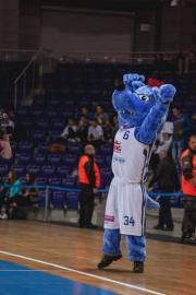 Elabika stroje reklamowe Wilk Blue King Wilki Morskie Szczecin