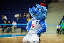Elabika stroje reklamowe Wilk Blue King Wilki Morskie Szczecin