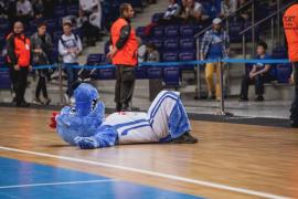 Elabika stroje reklamowe Wilk Blue King Wilki Morskie Szczecin