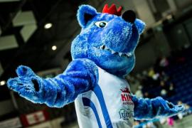 Elabika stroje reklamowe Wilk Blue King Wilki Morskie Szczecin