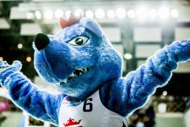 Elabika stroje reklamowe Wilk Blue King Wilki Morskie Szczecin