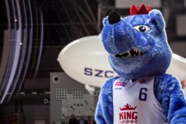 Elabika stroje reklamowe Wilk Blue King Wilki Morskie Szczecin
