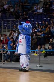 Elabika stroje reklamowe Wilk Blue King Wilki Morskie Szczecin