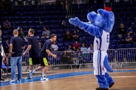 Elabika stroje reklamowe Wilk Blue King Wilki Morskie Szczecin