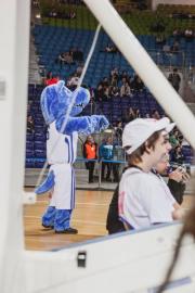 Elabika stroje reklamowe Wilk Blue King Wilki Morskie Szczecin