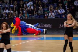 Elabika stroje reklamowe Wilk Blue King Wilki Morskie Szczecin