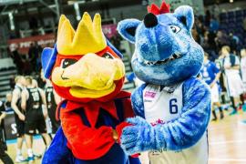 Elabika stroje reklamowe Wilk Blue King Wilki Morskie Szczecin