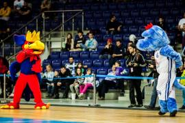 Elabika stroje reklamowe Wilk Blue King Wilki Morskie Szczecin