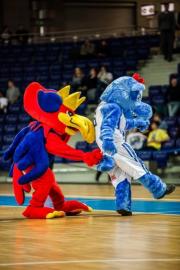 Elabika stroje reklamowe Wilk Blue King Wilki Morskie Szczecin