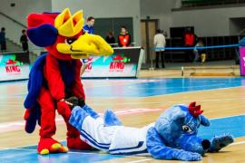 Elabika stroje reklamowe Wilk Blue King Wilki Morskie Szczecin