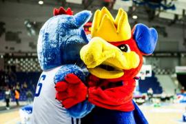 Elabika stroje reklamowe Wilk Blue King Wilki Morskie Szczecin