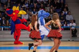 Elabika stroje reklamowe Wilk Blue King Wilki Morskie Szczecin