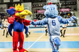 Elabika stroje reklamowe Wilk Blue King Wilki Morskie Szczecin