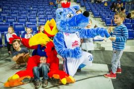 Elabika stroje reklamowe Wilk Blue King Wilki Morskie Szczecin