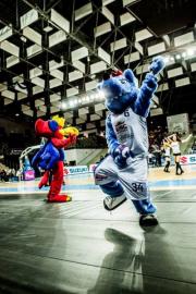 Elabika stroje reklamowe Wilk Blue King Wilki Morskie Szczecin