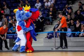 Elabika stroje reklamowe Wilk Blue King Wilki Morskie Szczecin